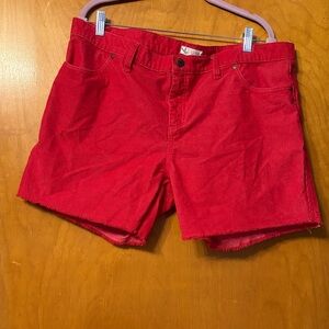 Carve Designs Vibrant Red Shorts